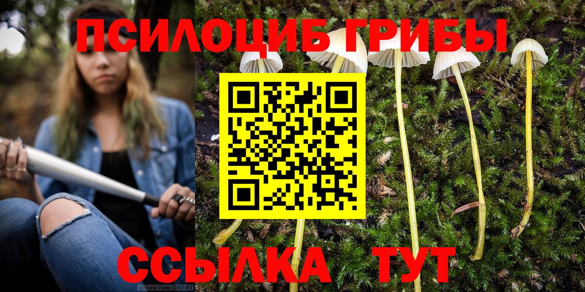 Галлюциногенные грибы GOLDEN TEACHER Клинцы