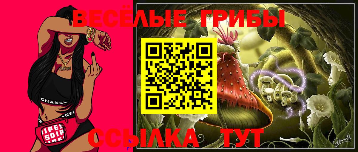 Клинцы  Галлюциногенные грибы GOLDEN TEACHER  Вход с VPN 